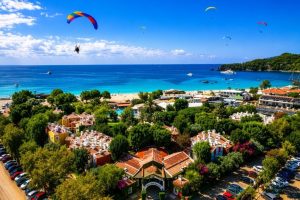 Büyük belcekız drone